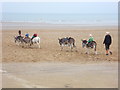 Donkey rides at Mablethorpe in LN12 1RD