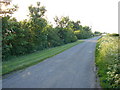 Road near Asgarby House in Lusby with Winceby