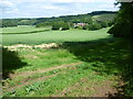 Looking to Coombe Manor from Collyerhill Wood in TN25 5HD