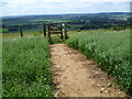 Footpath emerges on to Wye Downs in TN25 5HD