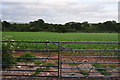 East Devon : Grassy Field & Gate in EX5 5YR