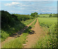 Farm track near the River Evenlode in OX29 4EH