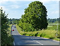 Road heading north to Long Hanborough in OX29 4EH