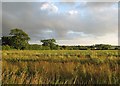 Across the fields towards Etwall in DE3 0AX