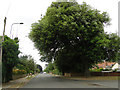 Rushmere Road near Thornley Drive in IP4 3NR