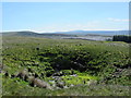Shake hole above Hunter's Cleugh in CA9 3HB