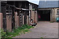 Mid Devon : Ratcliffe Farm in EX5 5JR