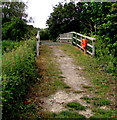 Woodstock Watermeadows footbridge alongside the River Glyme in OX20 1XL