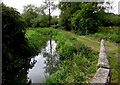 River and path in Woodstock Watermeadows in OX20 1XL