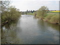 River Wye downstream from Foy suspension bridge in HR9 6QZ