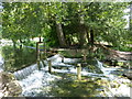 The weir at Kearsney Abbey in CT16 3DZ