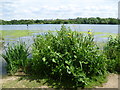 Looking across the Brent Reservoir in NW9 7FE