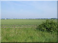 St. Neots across the fields from the A428 in PE19 0BB