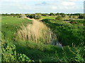 Drainage and Public Footpath leading to Belton in NR31 9NW