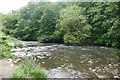 The River Tame in Haughton Dale in SK6 1RY