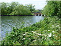 Cool Oak Bridge from alongside the Brent Reservoir in NW9 7FE