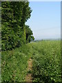 Bridleway towards the Channel Tunnel railway line and the M20 in TN25 6JQ