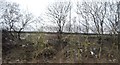 Litter by the railway in HU4 7DY