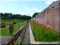 Walled garden at Stackpole in SA71 5DE