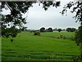 Farmland near Burscough in L40 7RY