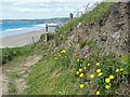 The coast path overlooking Newgale Sands in SA62 6BD