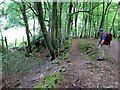 Hen geuffordd / Old hollow way in Rudry Community