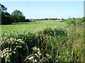 Looking across the fields from Hastingwood Road in CM17 9NG