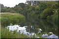 River Stort below Harlow Lock in CM20 2DP