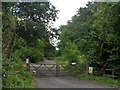 Track into West Wood in Knotting and Souldrop