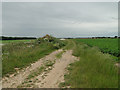 Farm trackway where once stood an old farm building in NR29 3BY