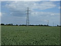 Crop field and pylons in PE12 8SW