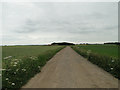 Private road  to Church Farm, Martham in NR29 4QQ