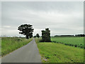 Mautby Lane, a long straight road in Mautby