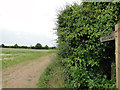 Bridleway along Piccamore Loke, Potter Heigham in NR29 5LR