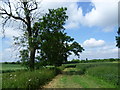 Former field edge near Goose Lane in CM22 7UT