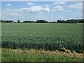 Crop field off Bad Gate in PE12 0HQ