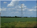 Crop field and pylon, Poplartree Farm in PE13 5NX