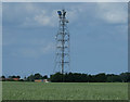 Telecommunications mast at Newton near Wisbech in Leverington & Wisbech Rural Ward