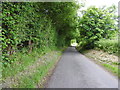 Minor road past Trindledown Copse in SN8 3JT