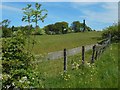 Field beside Cleddans Road in G81 5LH