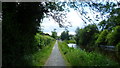 On the towpath of the Montgomery Canal near Maesbury Marsh in SY10 8JF