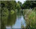Trent & Mersey Canal near Barton-under-Needwood in DE13 8HH