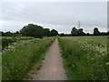 On the canal path, looking north, going under the power lines in EX16 7HE
