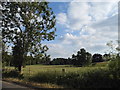 Field by Walkern Road in SG14 3RP