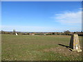 Field View from South Henningfield Triangulation Pillar in CM3 8HJ