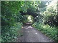 Disused Bridge over Marriott's Way at Start of New Plantation in NR10 4RW