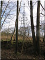 Doddinghurst Radio Mast in CM15 0LL