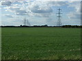 Crop field and pylons in PE12 8PH