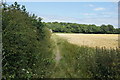 Footpath to Little Crosby woods in L23 2UU