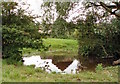 Small pond near Stokepark Wood in MK16 8LW
